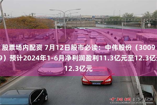 股票场内配资 7月12日股市必读：中伟股份（300919）预计2024年1-6月净利润盈利11.3亿元至12.3亿元