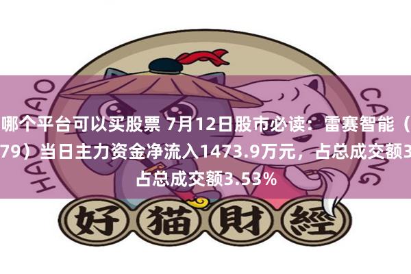 哪个平台可以买股票 7月12日股市必读：雷赛智能（002979）当日主力资金净流入1473.9万元，占总成交额3.53%