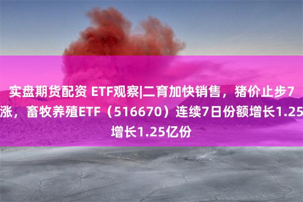 实盘期货配资 ETF观察|二育加快销售，猪价止步7周连涨，畜牧养殖ETF（516670）连续7日份额增长1.25亿份