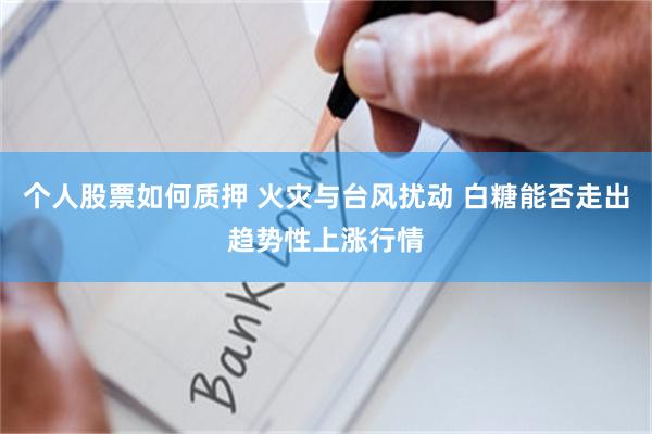 个人股票如何质押 火灾与台风扰动 白糖能否走出趋势性上涨行情