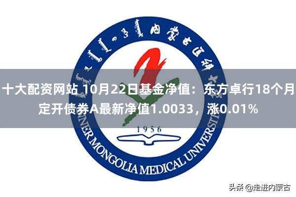 十大配资网站 10月22日基金净值：东方卓行18个月定开债券A最新净值1.0033，涨0.01%