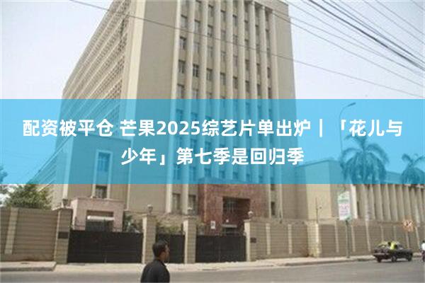 配资被平仓 芒果2025综艺片单出炉｜「花儿与少年」第七季是回归季