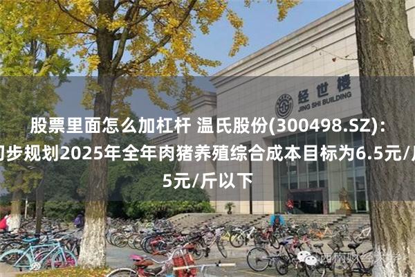 股票里面怎么加杠杆 温氏股份(300498.SZ)：公司初步规划2025年全年肉猪养殖综合成本目标为6.5元/斤以下