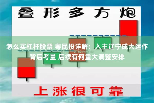 怎么买杠杆股票 粤民投详解：入主辽宁成大运作背后考量 后续有何重大调整安排